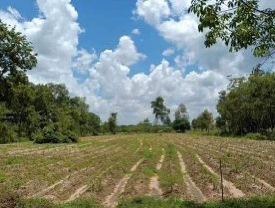 ที่ดินเปล่า อุบลราชธานี เดชอุดม ตบหู 146900