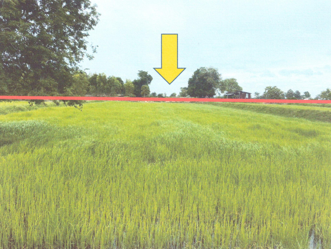 Residential land/lot Maha Sarakham Kae Dam Non Phiban 971280
