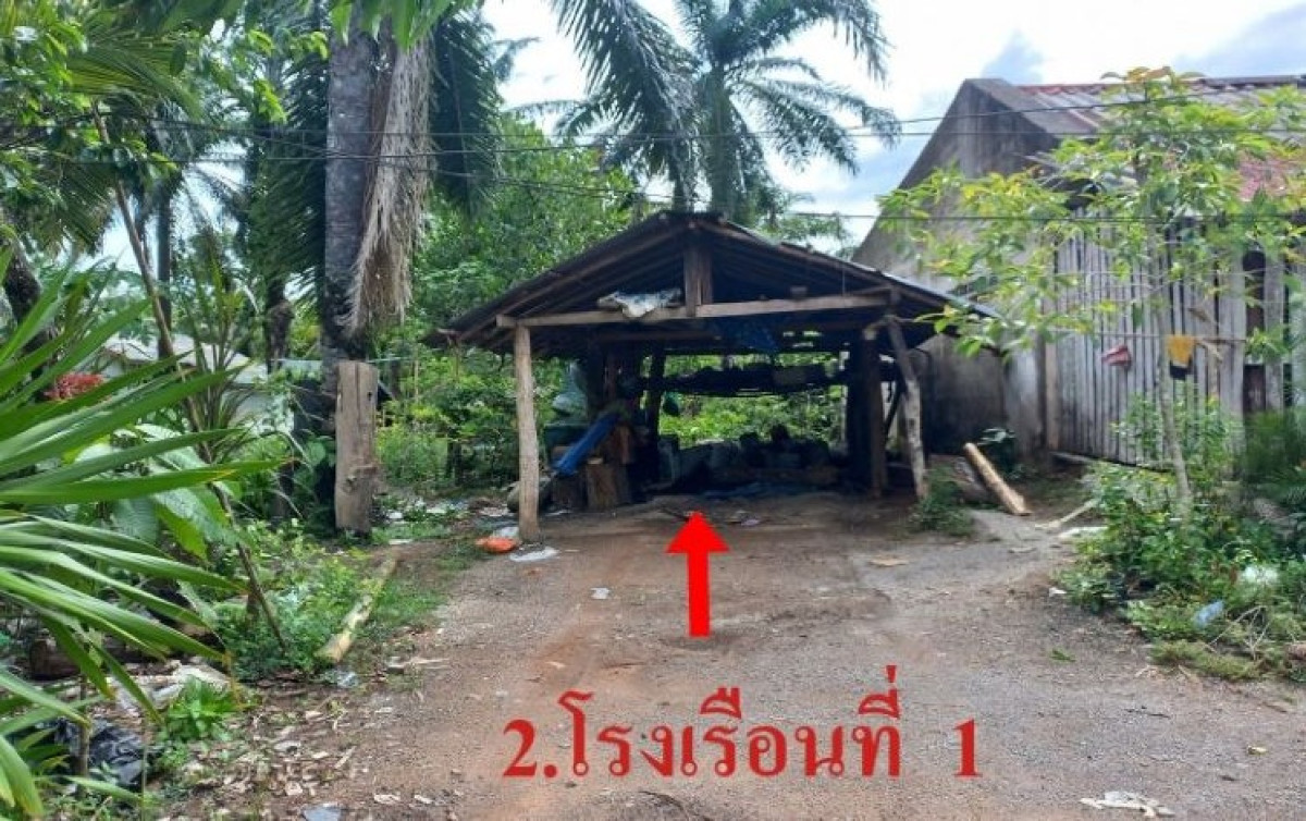 Single house Surat Thani Phrasaeng Sai Sopha 714966