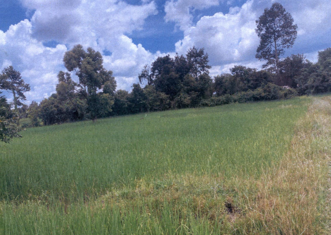 Residential land/lot Ubon Ratchathani Trakan Phuet Phon Kasem 61000