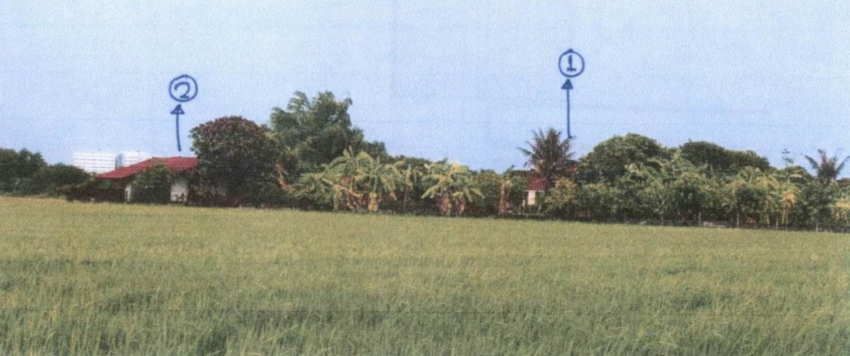 บ้านเดี่ยว พิษณุโลก เมืองพิษณุโลก ท่าโพธิ์ 4548026