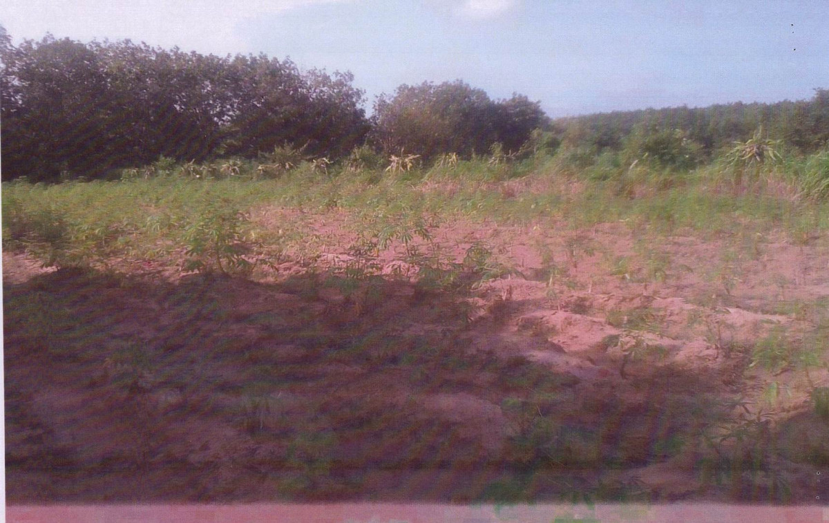 Residential land/lot Mukdahan Don Tan Don Tan 250400