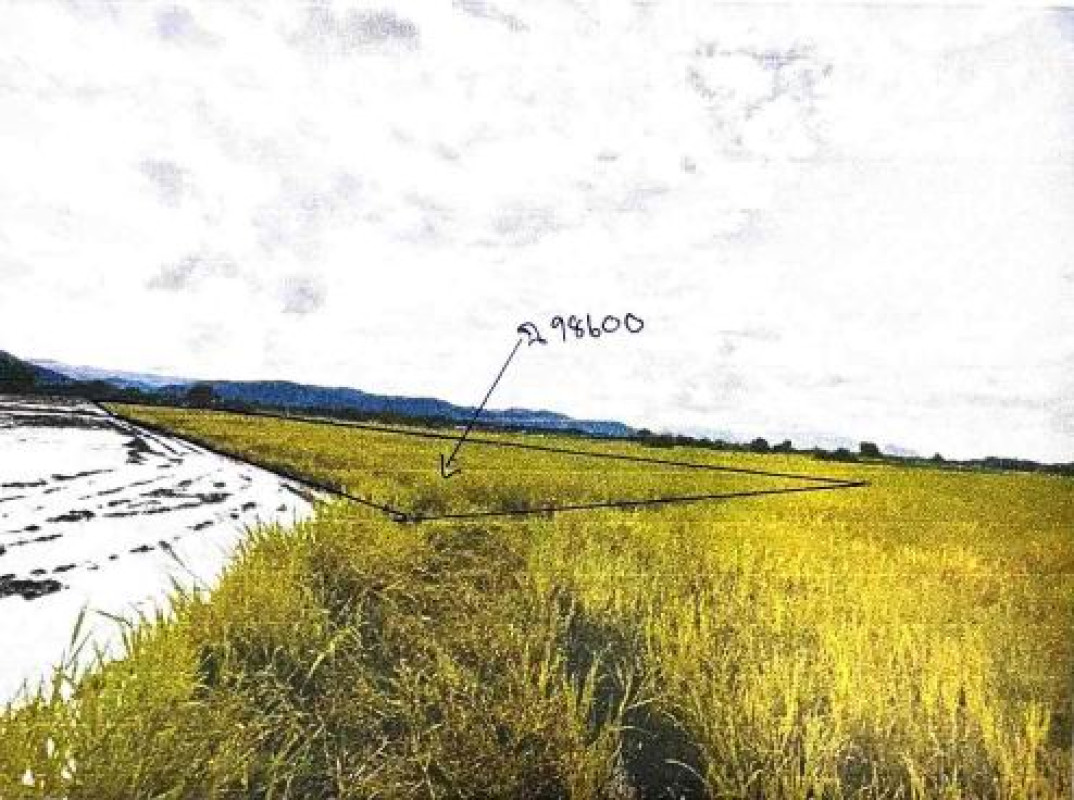 Residential land/lot Phetchabun Mueang Phetchabun Tha Phon 463800