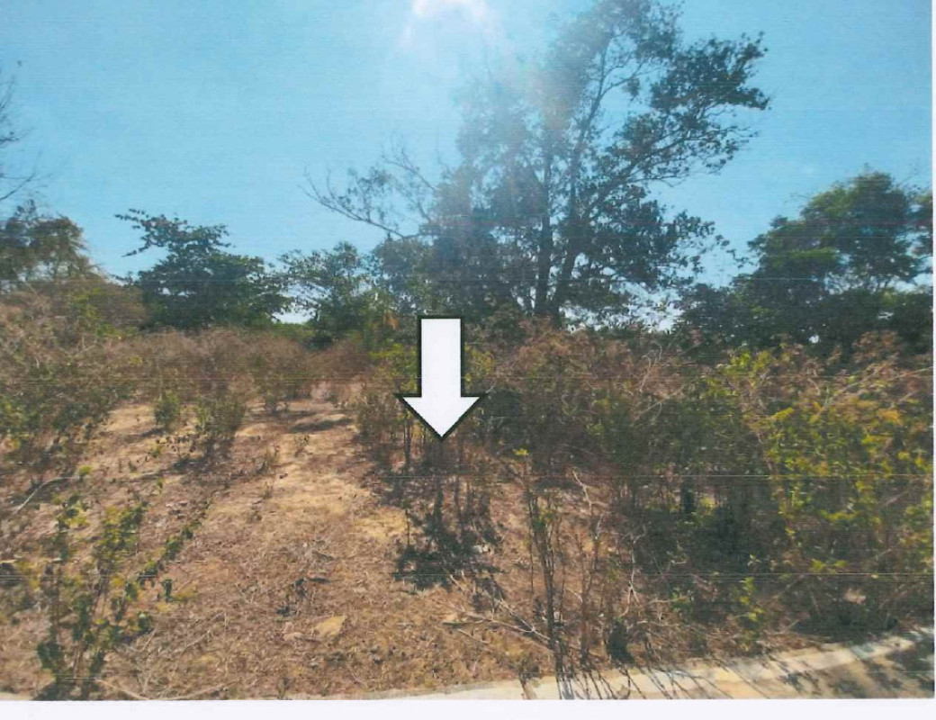 ที่ดินเปล่า ตรัง เมืองตรัง ควนปริง 124800