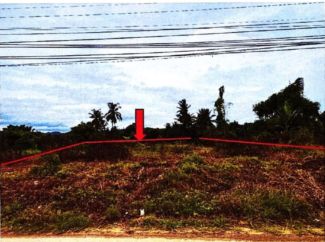 ที่ดินเปล่า สุโขทัย ศรีสัชนาลัย บ้านตึก 94500