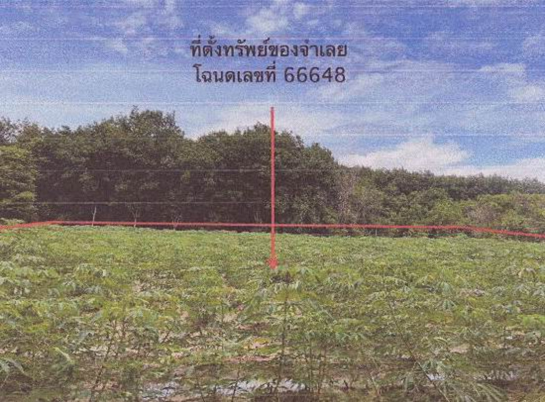 ที่ดินเปล่า มุกดาหาร เมืองมุกดาหาร ดงมอน 44630