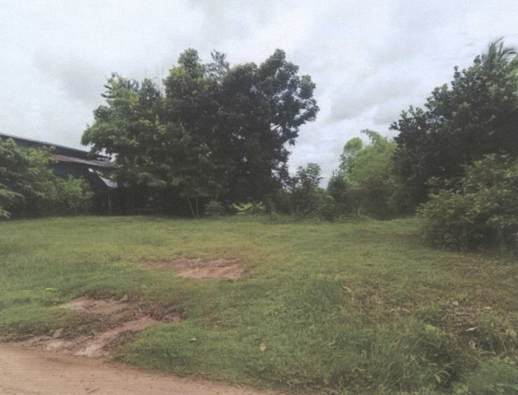 Residential land/lot Maha Sarakham Na Dun Dong Yang 1057720