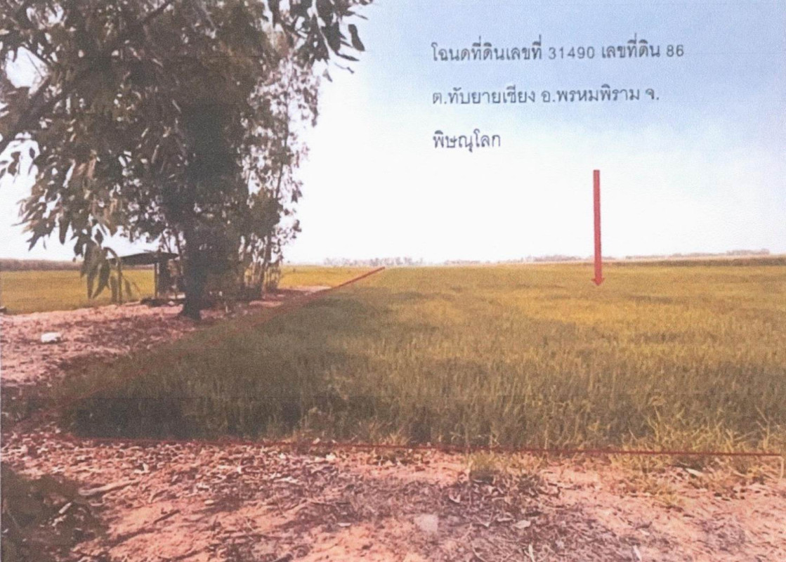 ที่ดินเปล่า พิษณุโลก พรหมพิราม ทับยายเชียง 299000