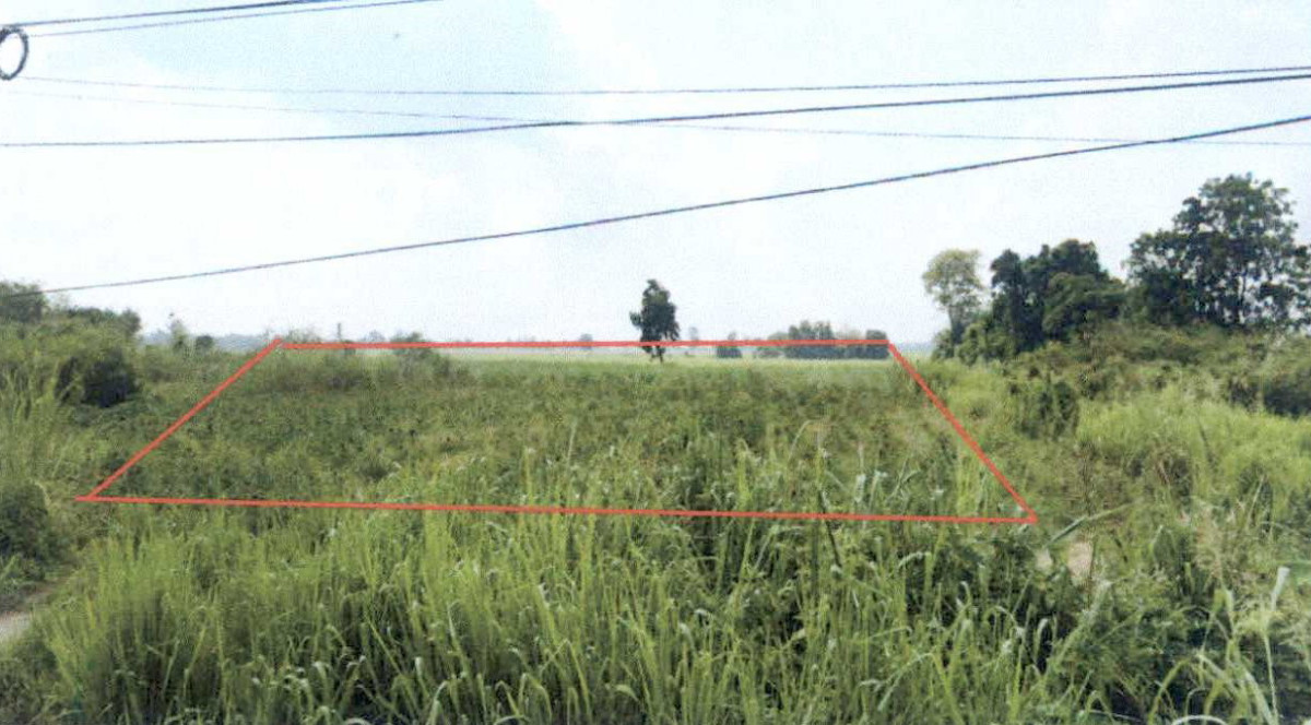 ที่ดินเปล่า กำแพงเพชร ขาณุวรลักษบุรี ป่าพุทรา 18000