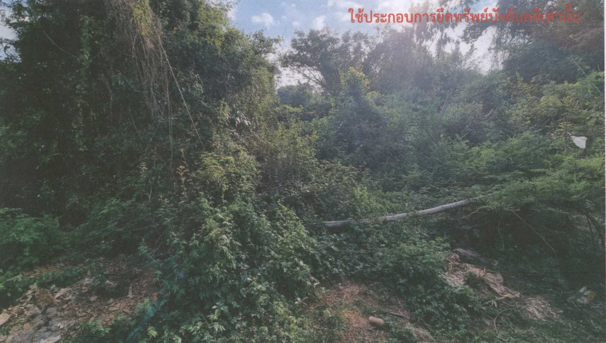 Residential land/lot Maha Sarakham Mueang Maha Sarakham Koeng 113850