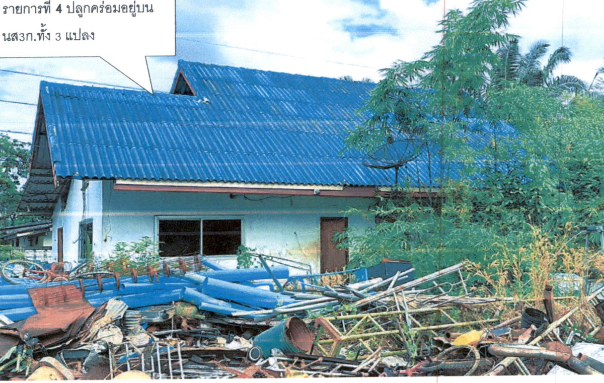 บ้านเดี่ยว สุราษฎร์ธานี พุนพิน ท่าโรงช้าง 11620144