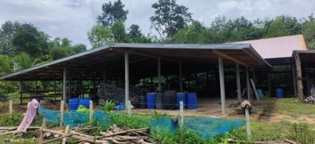 บ้านเดี่ยว อุบลราชธานี เดชอุดม สมสะอาด 144570