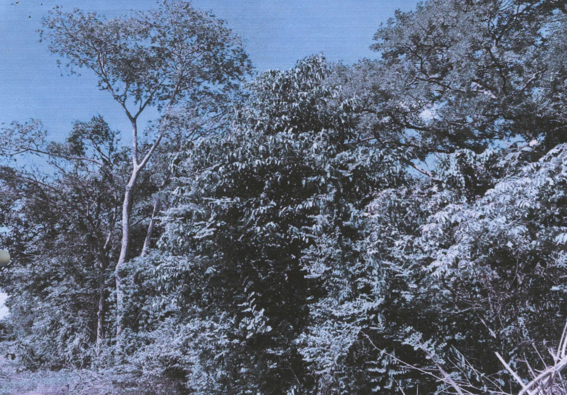 Residential land/lot Maha Sarakham Phayakkhaphum Phisai Nong Bua Kaeo 275500