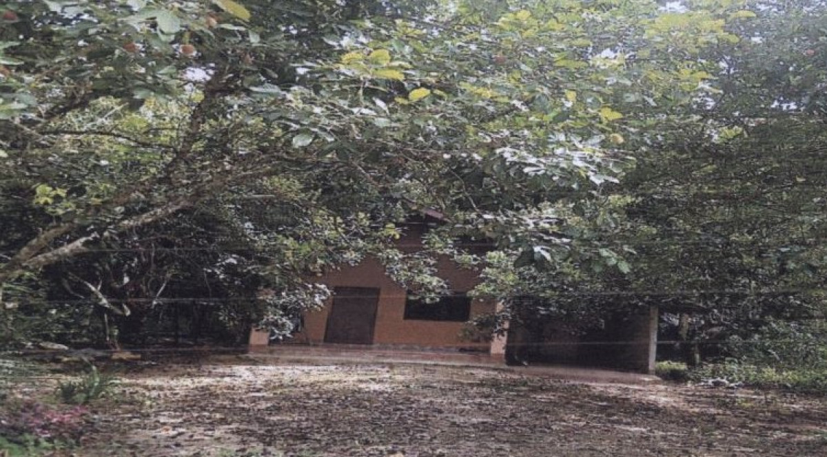 บ้านเดี่ยว สุราษฎร์ธานี เวียงสระ บ้านส้อง 494500