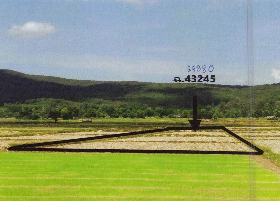 ที่ดินเปล่า เชียงราย พาน เจริญเมือง 399035