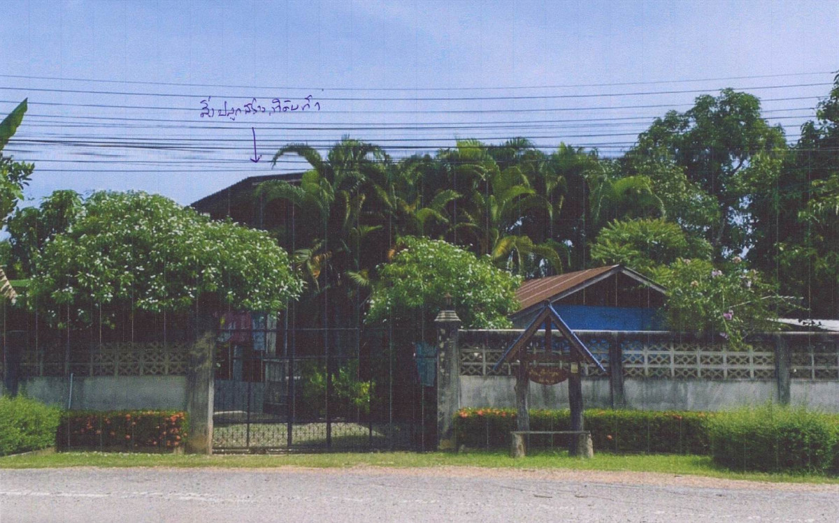 Single house Chiang Rai Phan Mae O 1321970