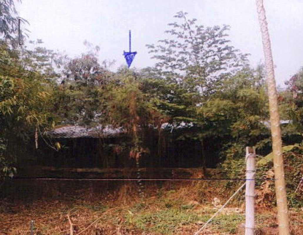 บ้านเดี่ยว พิษณุโลก บางระกำ ท่านางงาม 44383