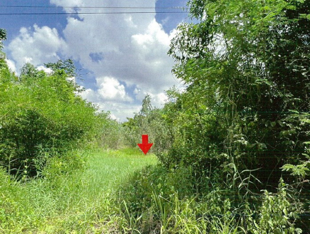 Residential land/lot Udon Thani Sang Khom Ban Yuat 516645