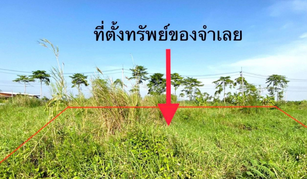 ที่ดินเปล่า เชียงราย แม่สาย โป่งผา 149500