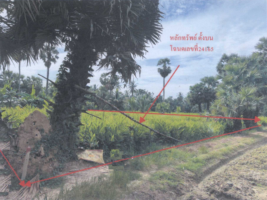 ที่ดินเปล่า เพชรบุรี บ้านลาด ไร่สะท้อน 232200