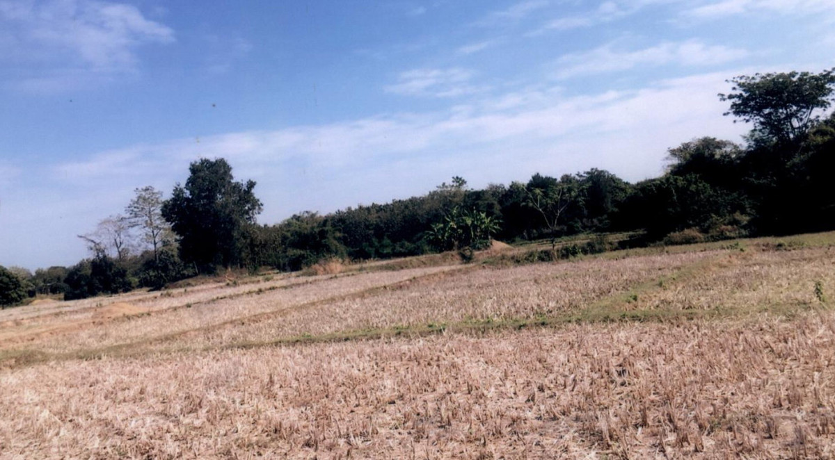 Residential land/lot Nan Mueang Nan Suak 117150