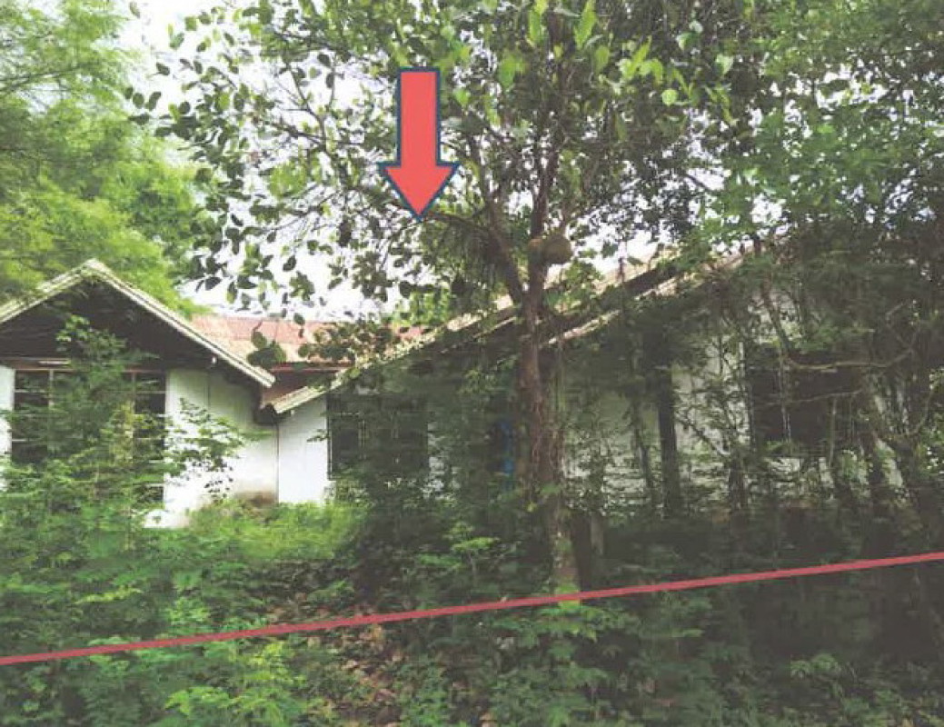 บ้านเดี่ยว อุดรธานี บ้านผือ จำปาโมง 548660