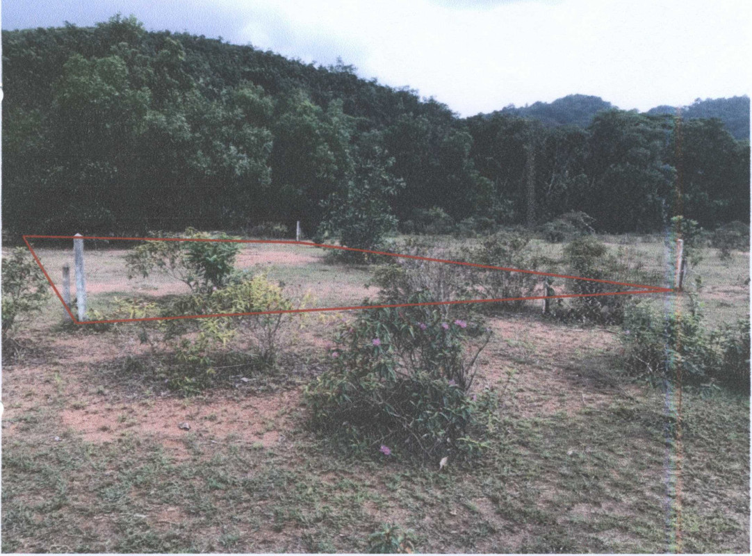 ที่ดินเปล่า ระนอง เมืองระนอง หงาว 120000