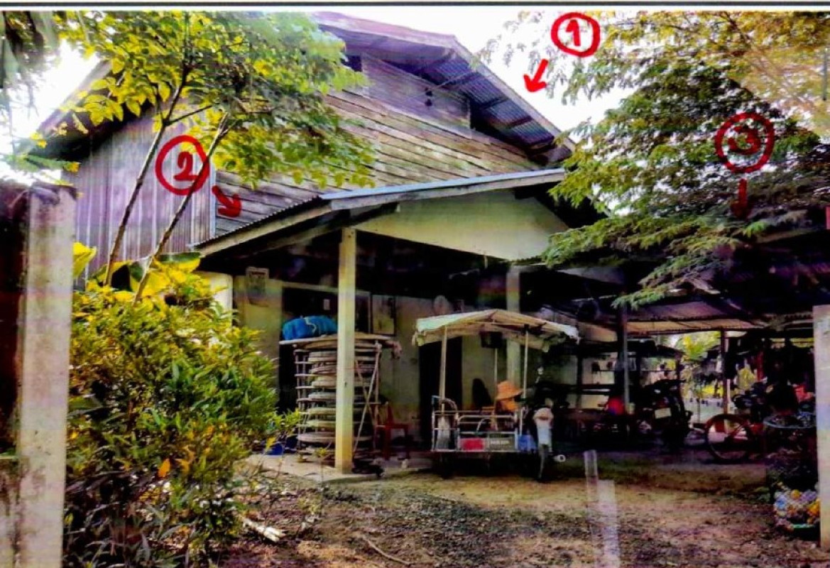 บ้านเดี่ยว บุรีรัมย์ พุทไธสง มะเฟือง 345090