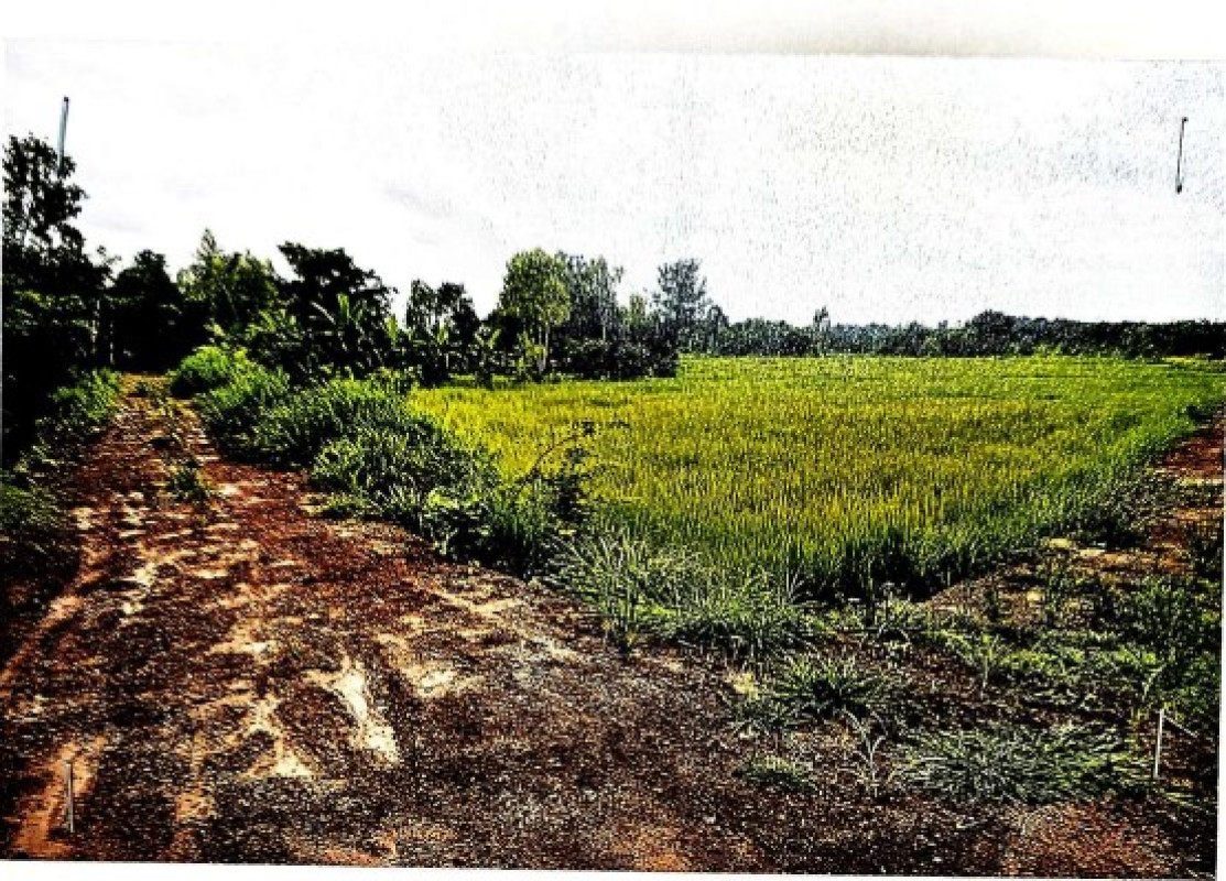 ที่ดินเปล่า อุดรธานี พิบูลย์รักษ์ บ้านแดง 259000