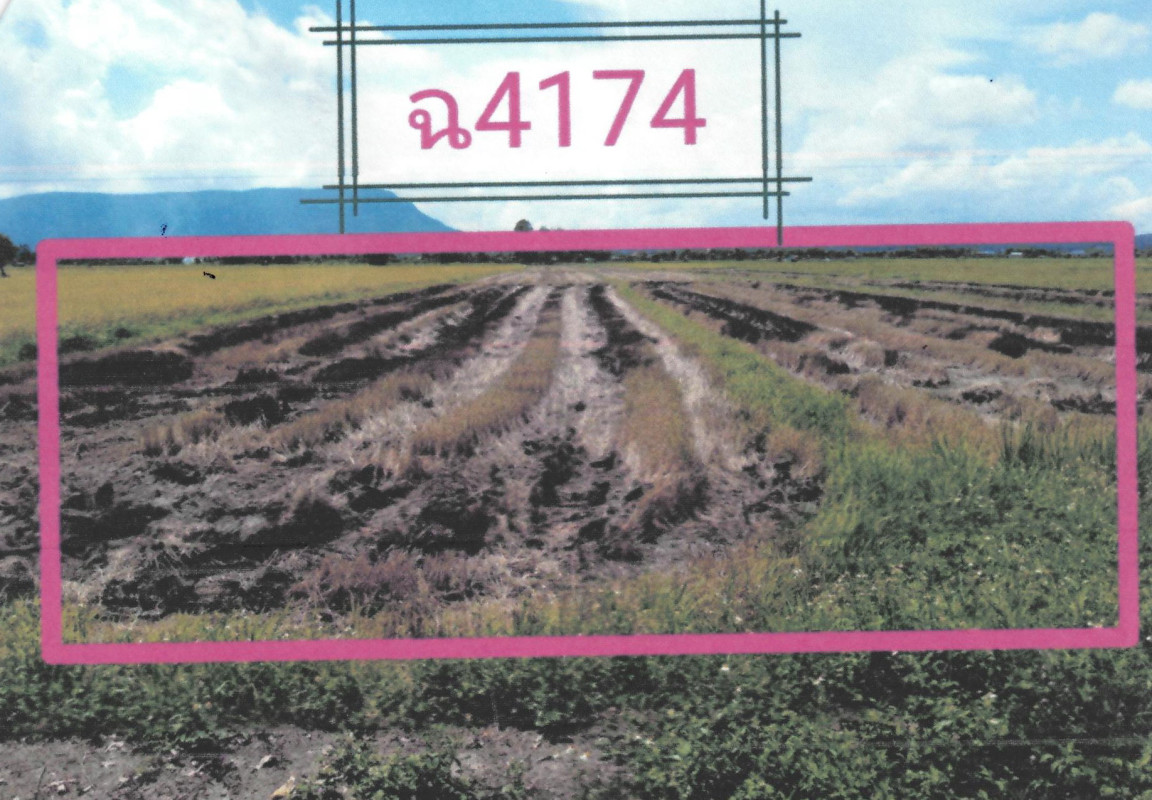 ที่ดินเปล่า เชียงราย เทิง เชียงเคี่ยน 331450