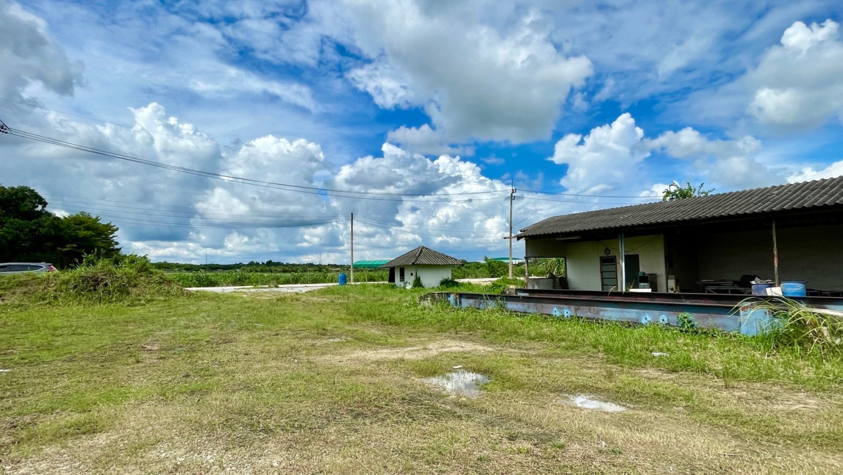 ที่ดินเปล่า ชลบุรี บ้านบึง คลองกิ่ว 30000000