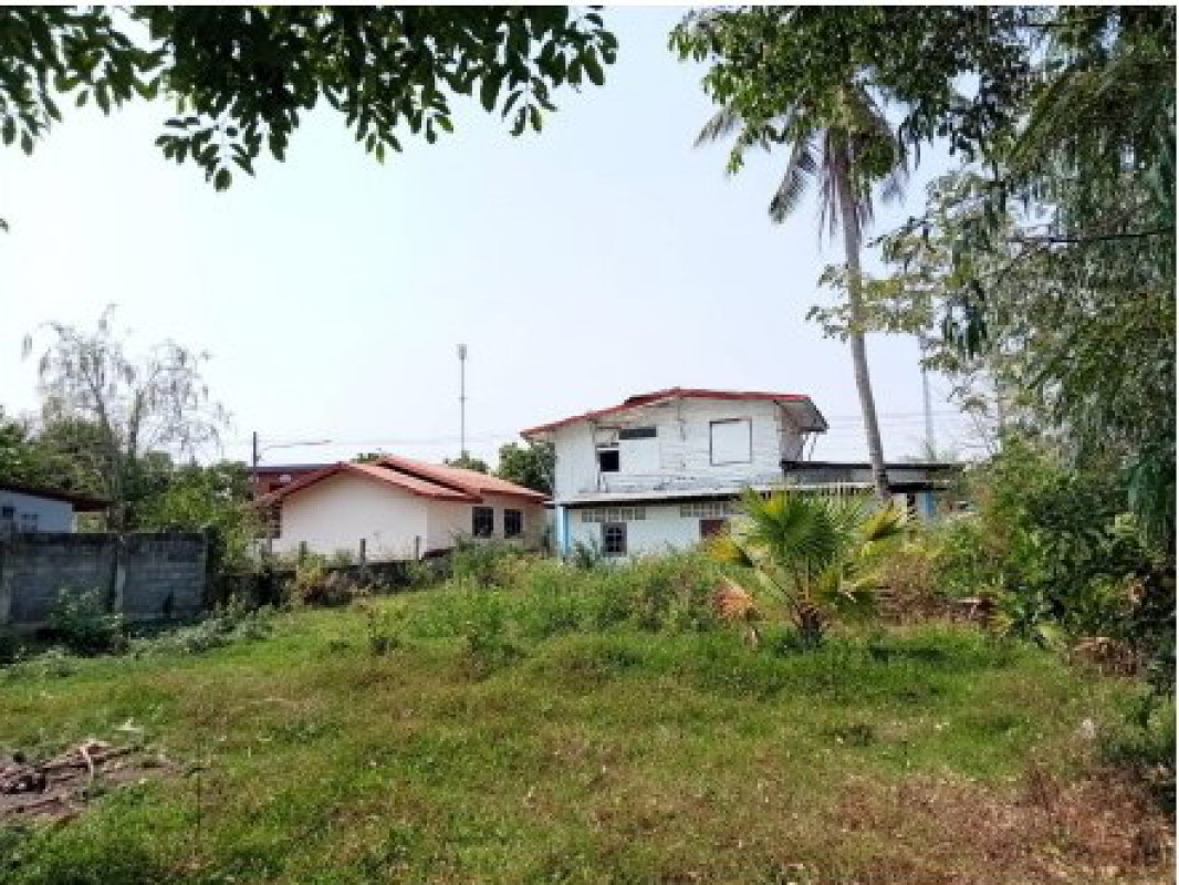 ที่ดินเปล่า อุดรธานี เมืองอุดรธานี บ้านขาว 237750