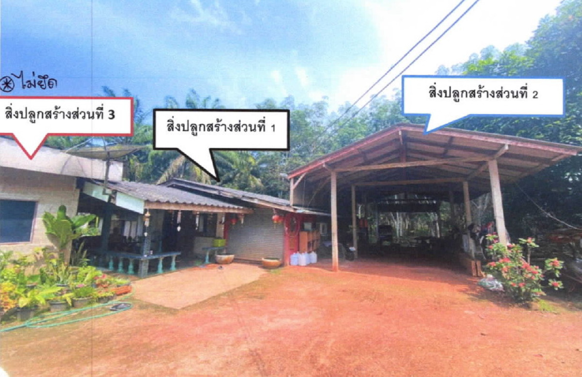 บ้านเดี่ยว สุราษฎร์ธานี ชัยบุรี คลองน้อย 817370