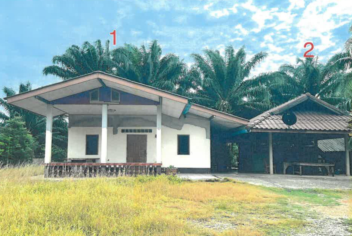 บ้านเดี่ยว สุราษฎร์ธานี ท่าฉาง ท่าเคย 954636