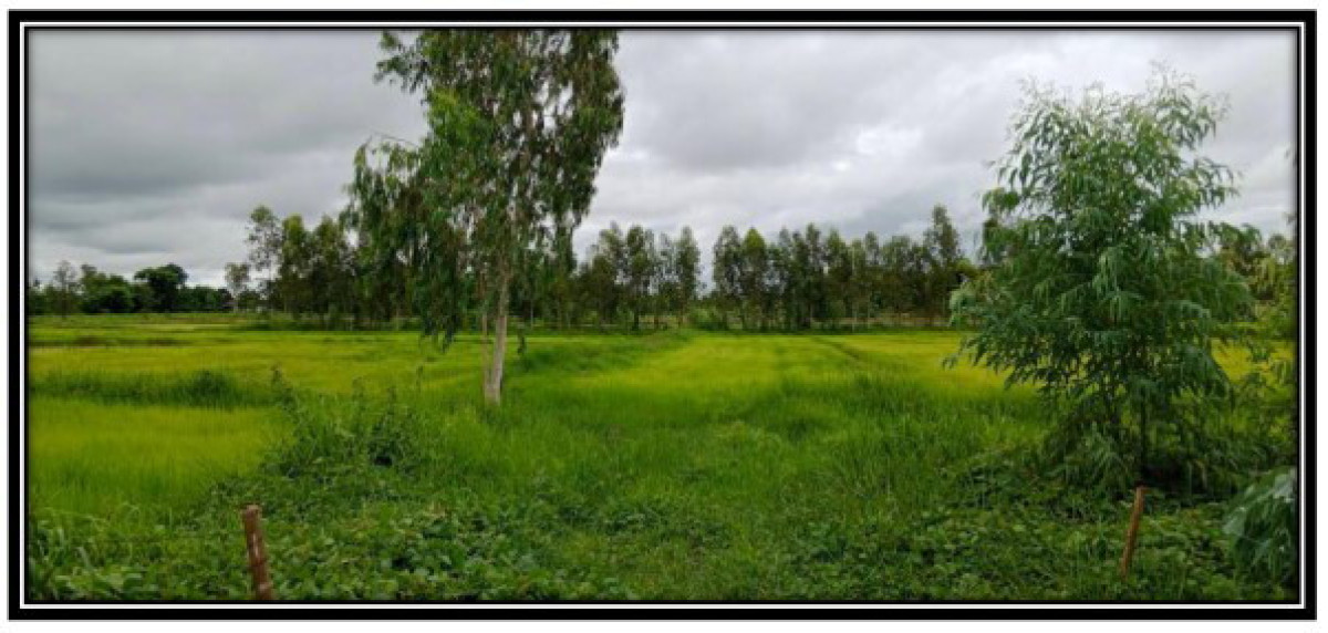 Residential land/lot Udon Thani Ban Dung Thon Na Lap 808800