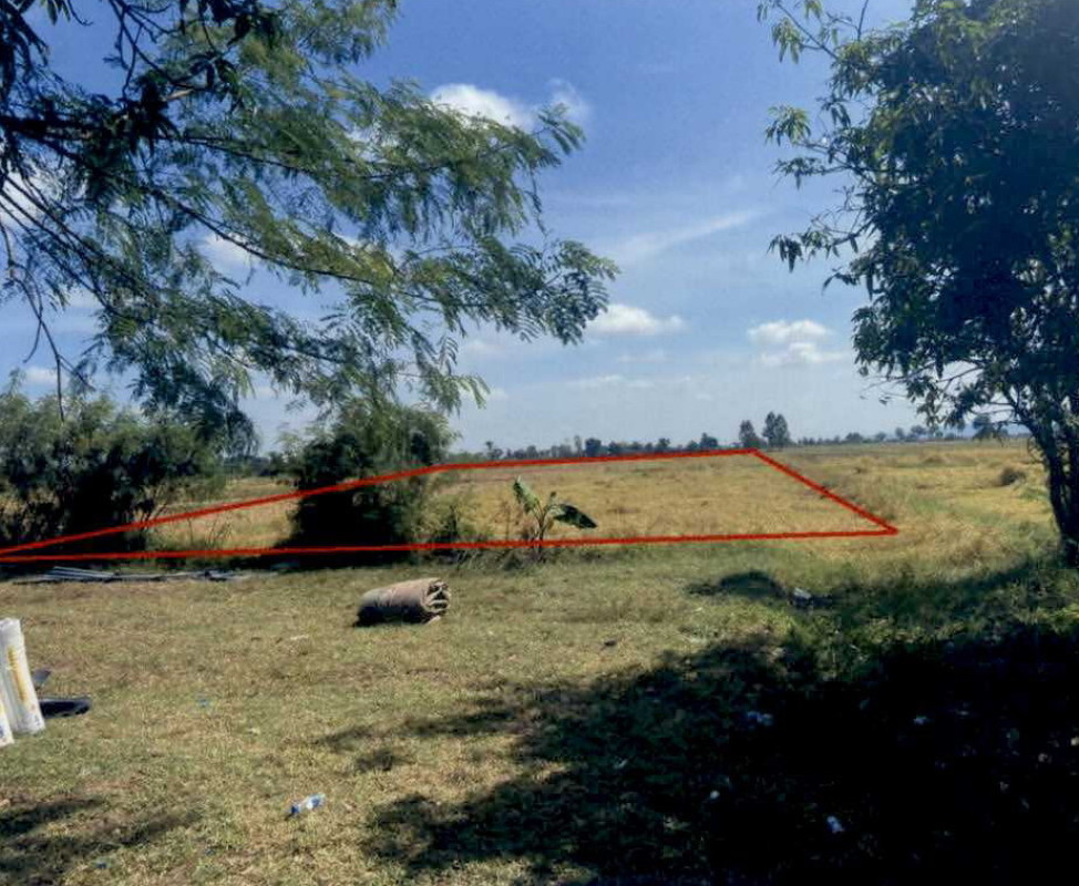 ที่ดินเปล่า บุรีรัมย์ เฉลิมพระเกียรติ เจริญสุข 375750