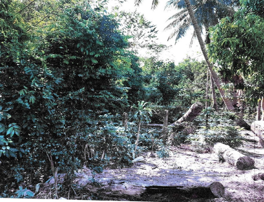 ที่ดินเปล่า อุบลราชธานี วารินชำราบ บุ่งไหม 412800