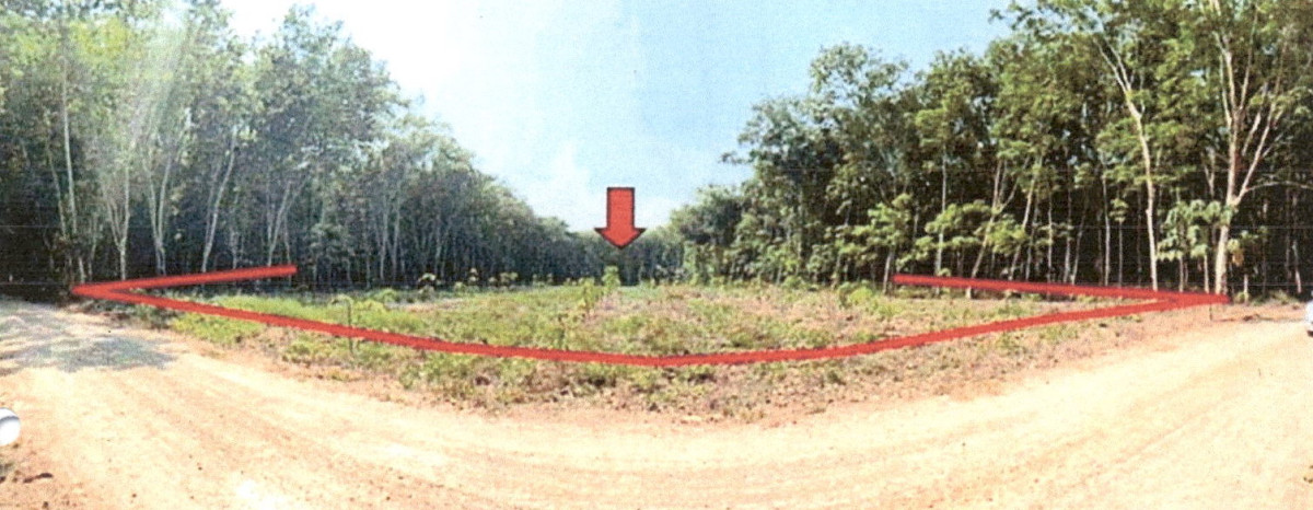 ที่ดินเปล่า สุราษฎร์ธานี เวียงสระ ทุ่งหลวง 3026149