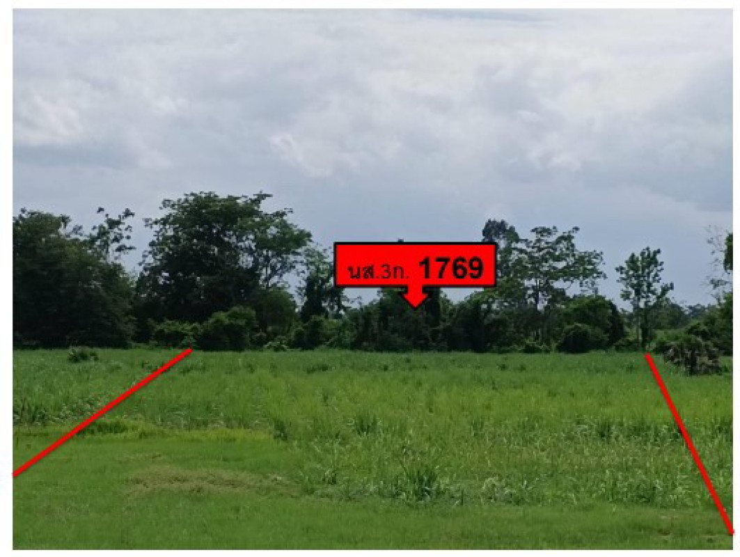 ที่ดินเปล่า อุดรธานี บ้านผือ เขือน้ำ 403840