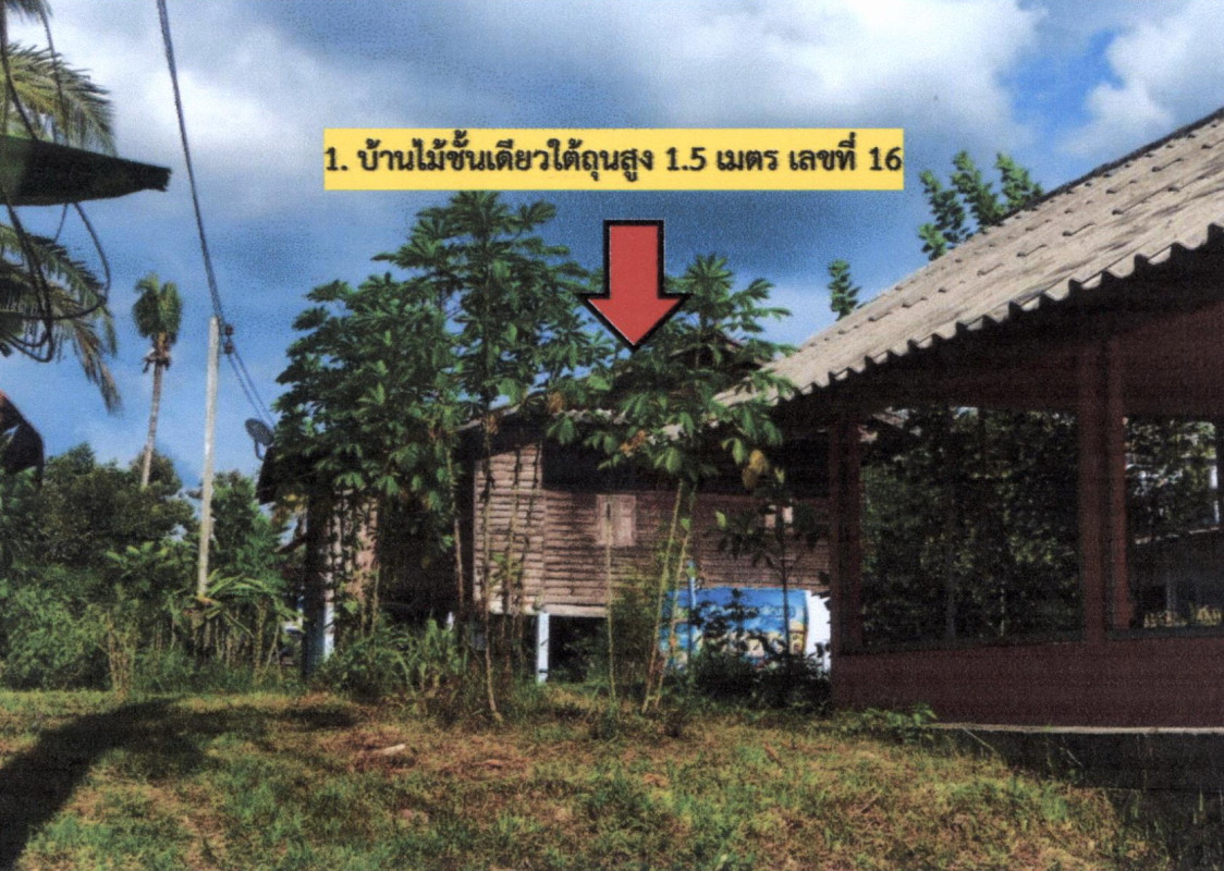 บ้านเดี่ยว สงขลา นาทวี ทับช้าง 2171175