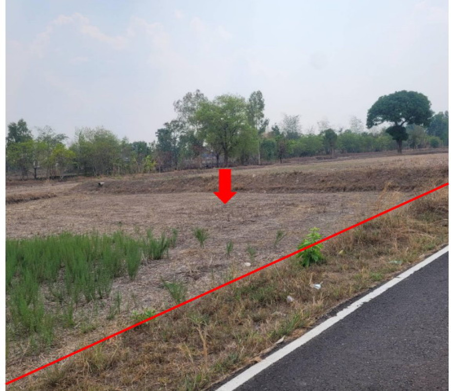 ที่ดินเปล่า อุบลราชธานี ศรีเมืองใหม่ แก้งกอก 1067430