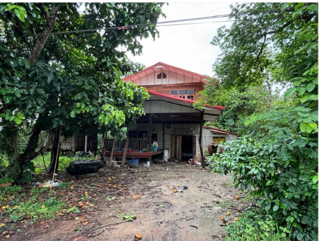 บ้านเดี่ยว อุดรธานี บ้านผือ จำปาโมง 867240