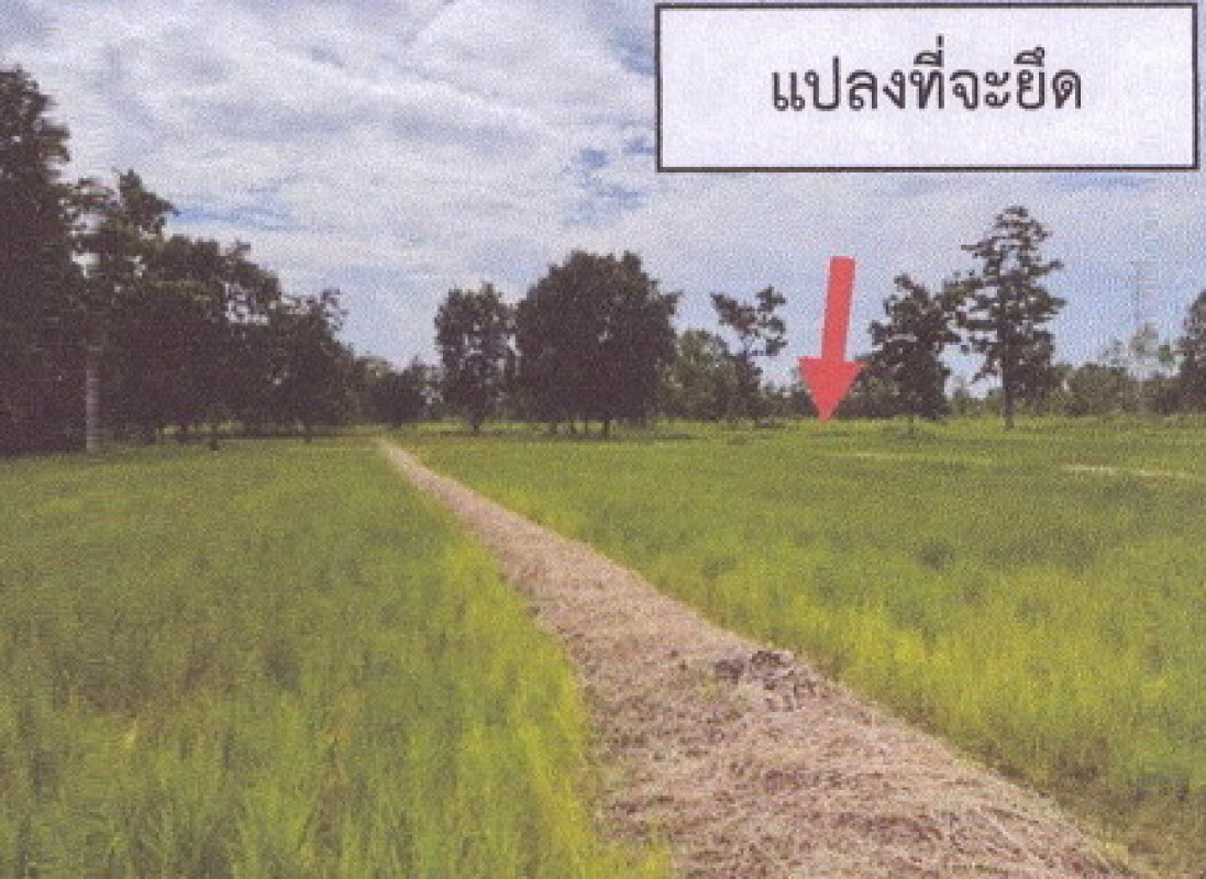 ที่ดินเปล่า หนองบัวลำภู เมืองหนองบัวลำภู โพธิ์ชัย 540000