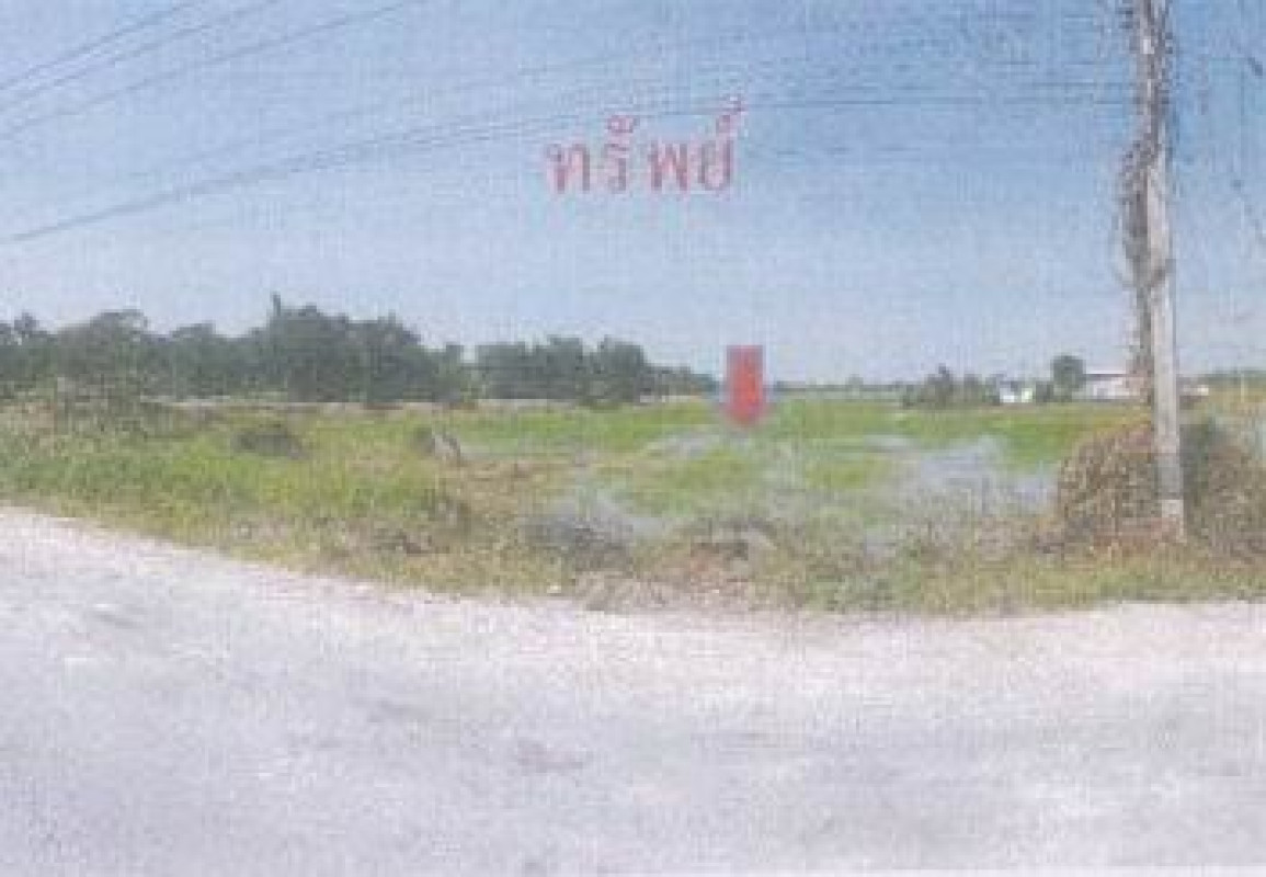 ที่ดินเปล่า สิงห์บุรี เมืองสิงห์บุรี ต้นโพธิ์ 92295