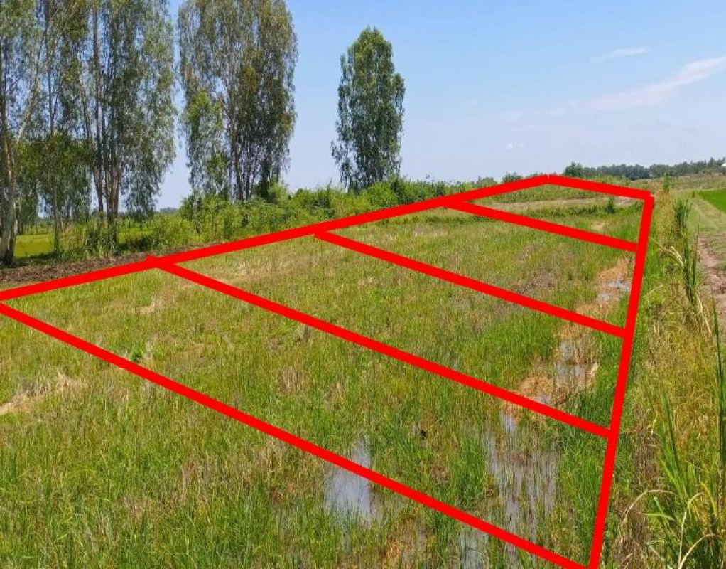 Residential land/lot Phitsanulok Bang Rakam Chum Saeng Songkhram 52000