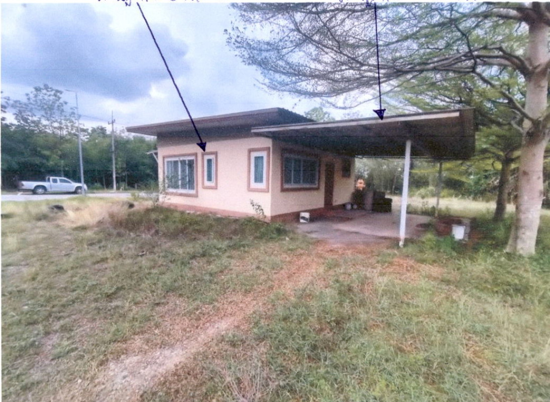 บ้านเดี่ยว เพชรบูรณ์ หนองไผ่ หนองไผ่ 2839990