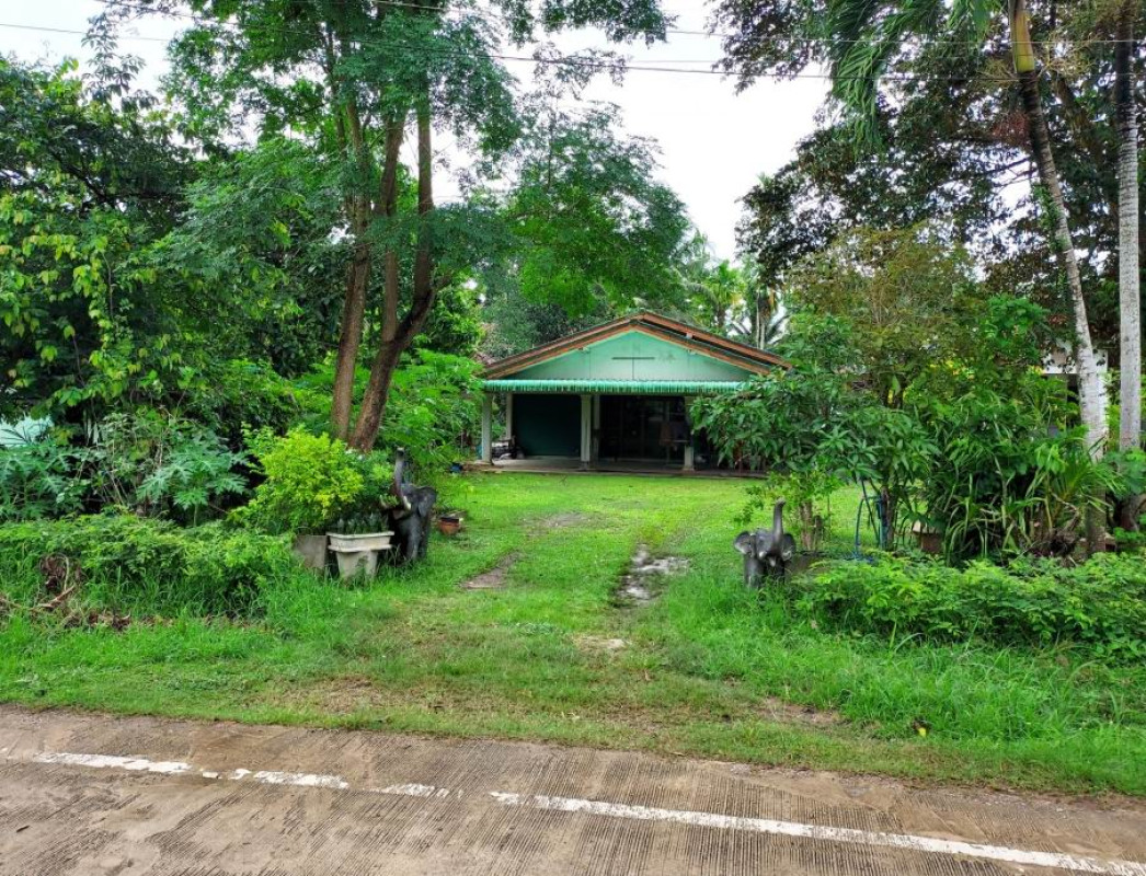 บ้านเดี่ยว สุราษฎร์ธานี ชัยบุรี สองแพรก 1269380