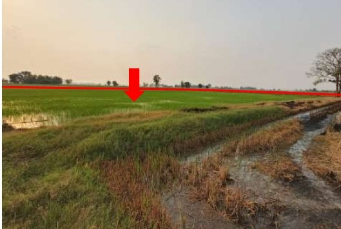 ที่ดินเปล่า พิษณุโลก พรหมพิราม หนองแขม 164000