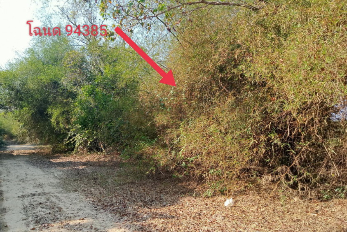 ที่ดินเปล่า อุบลราชธานี เมืองอุบลราชธานี หนองขอน 205425