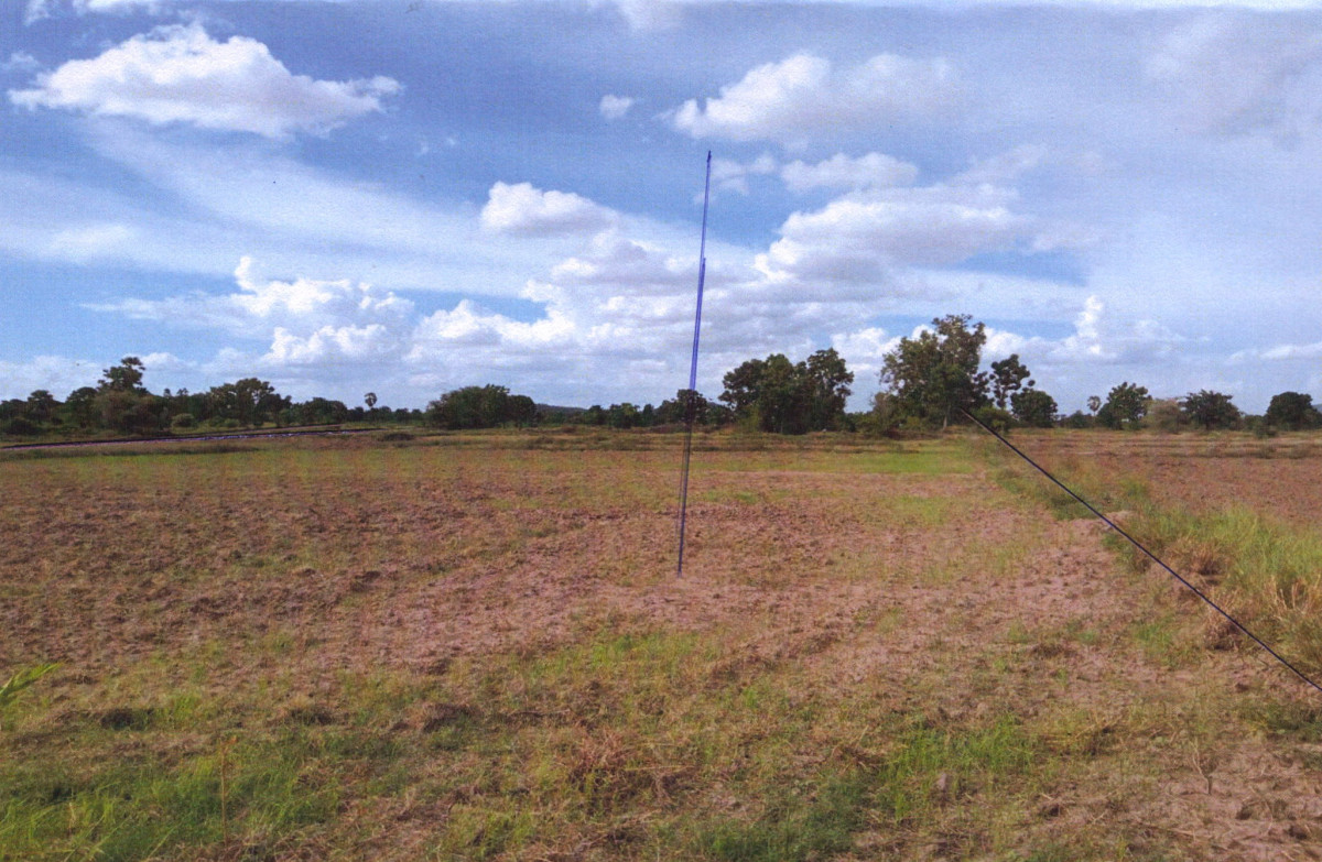Residential land/lot Kanchanaburi Phanom Thuan Don Ta Phet 238459
